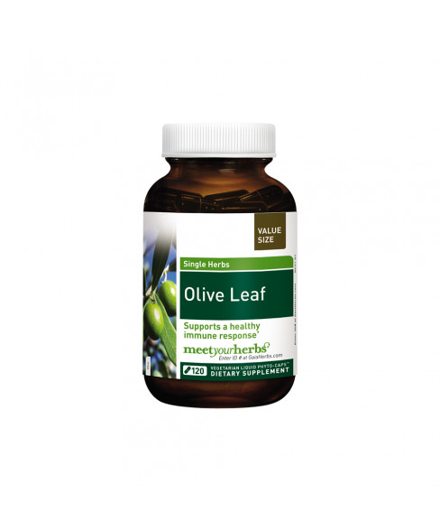 Olive Leaf Extra