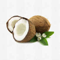 coconut