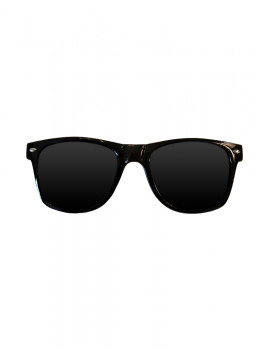 Wayfarer Sunglasse