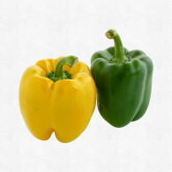 Capsicum