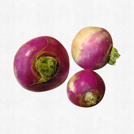 Brinjal