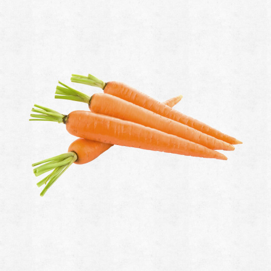 Carrot