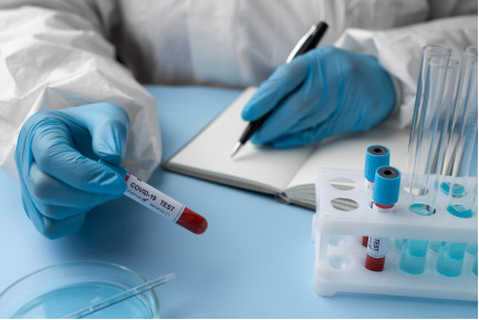 Duis pulvinar augue nisi