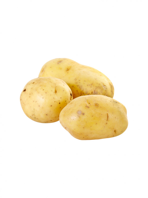 Potato