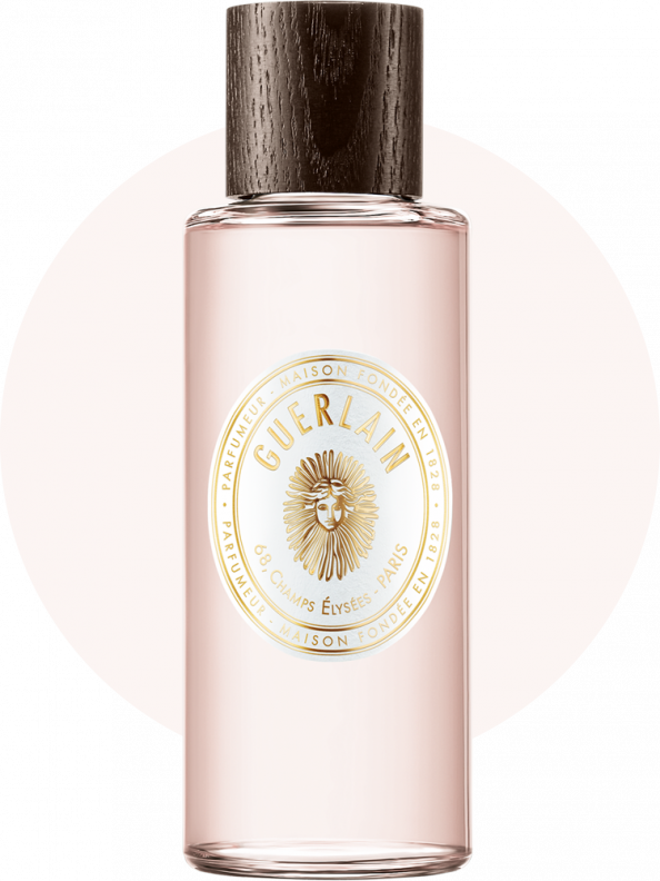 Body Cupid Perfume