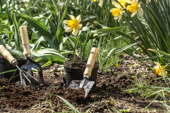 Duis aute irure dolor